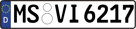 MS-VI6217
