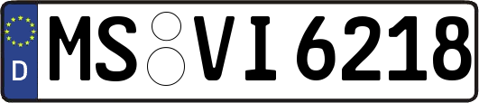 MS-VI6218