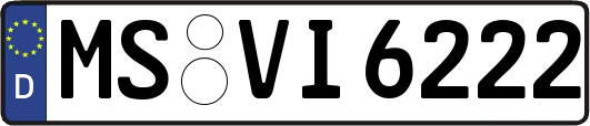 MS-VI6222