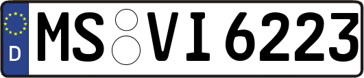 MS-VI6223