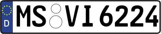 MS-VI6224