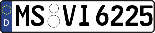 MS-VI6225