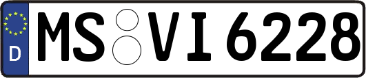 MS-VI6228