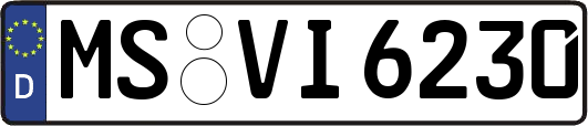 MS-VI6230