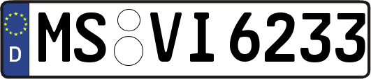 MS-VI6233