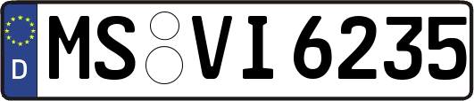 MS-VI6235