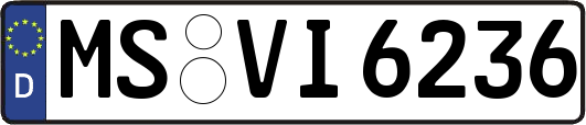 MS-VI6236