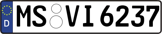 MS-VI6237