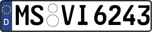 MS-VI6243