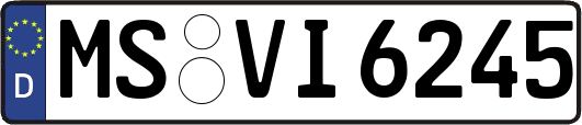 MS-VI6245