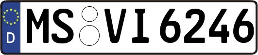 MS-VI6246