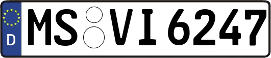 MS-VI6247
