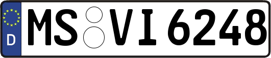MS-VI6248