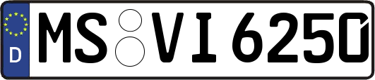 MS-VI6250