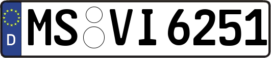 MS-VI6251