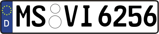 MS-VI6256