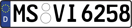 MS-VI6258