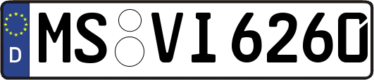 MS-VI6260