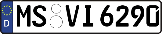 MS-VI6290