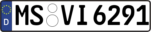 MS-VI6291