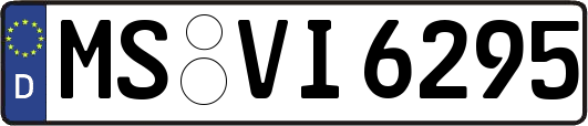 MS-VI6295