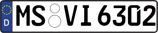 MS-VI6302