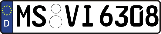 MS-VI6308