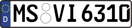MS-VI6310