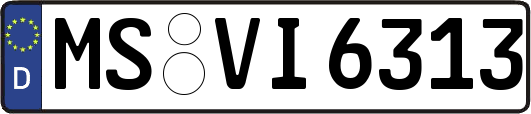 MS-VI6313