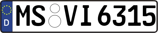 MS-VI6315