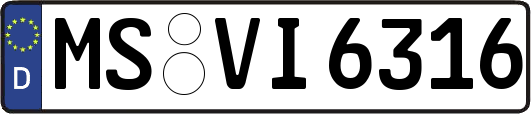 MS-VI6316