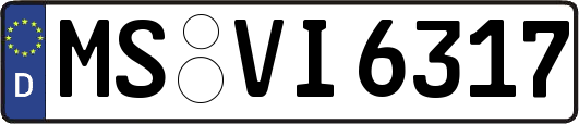 MS-VI6317