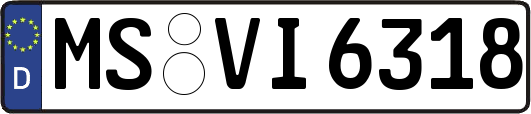 MS-VI6318