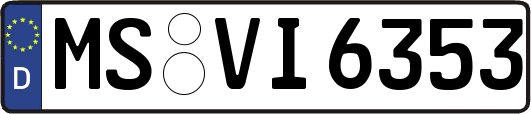 MS-VI6353