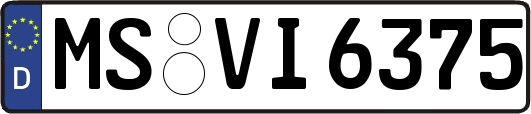 MS-VI6375