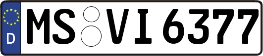 MS-VI6377