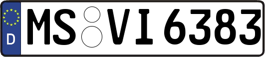 MS-VI6383