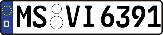 MS-VI6391