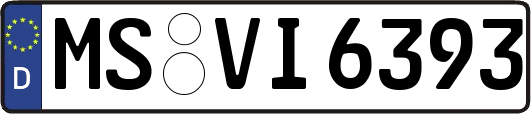 MS-VI6393