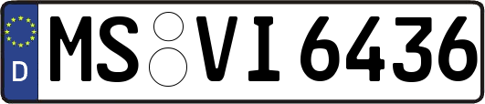 MS-VI6436