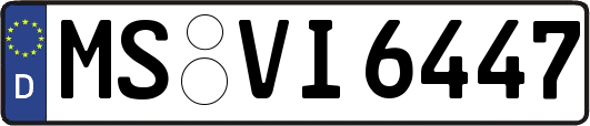 MS-VI6447