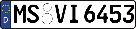 MS-VI6453