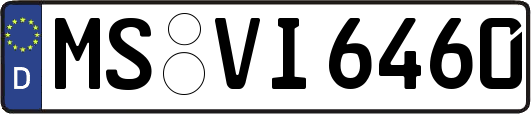 MS-VI6460