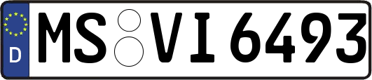 MS-VI6493