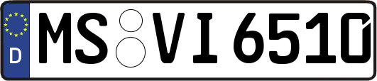 MS-VI6510