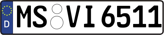 MS-VI6511