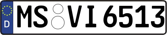 MS-VI6513