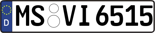 MS-VI6515