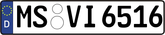 MS-VI6516
