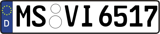 MS-VI6517